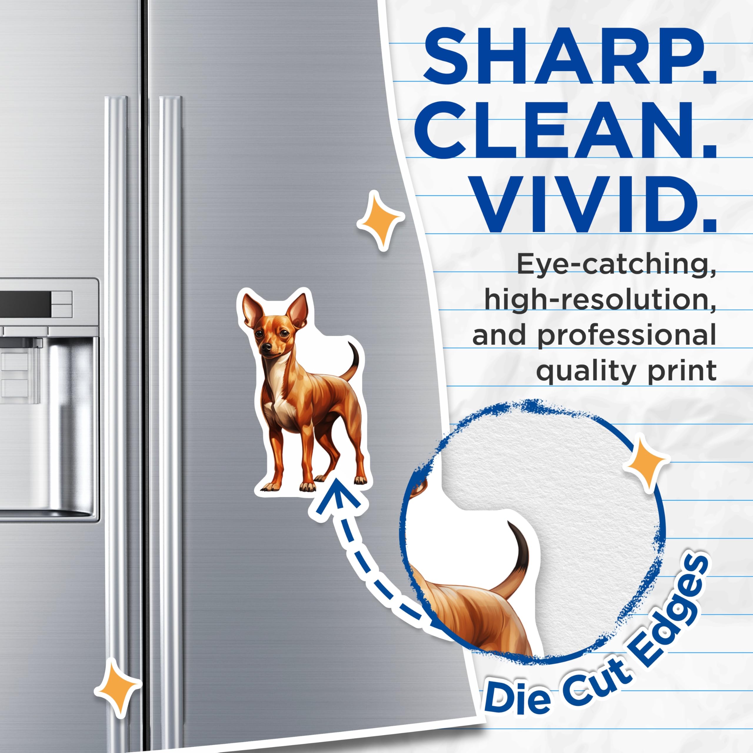 (2 Pack) Chihuahua Magnets - Dog Lover Fridge Decor - Small Breed Refrigerator Magnets - 5 Inches On Longest Side - Thick Durable Magnet - Made in USA - MAG29906