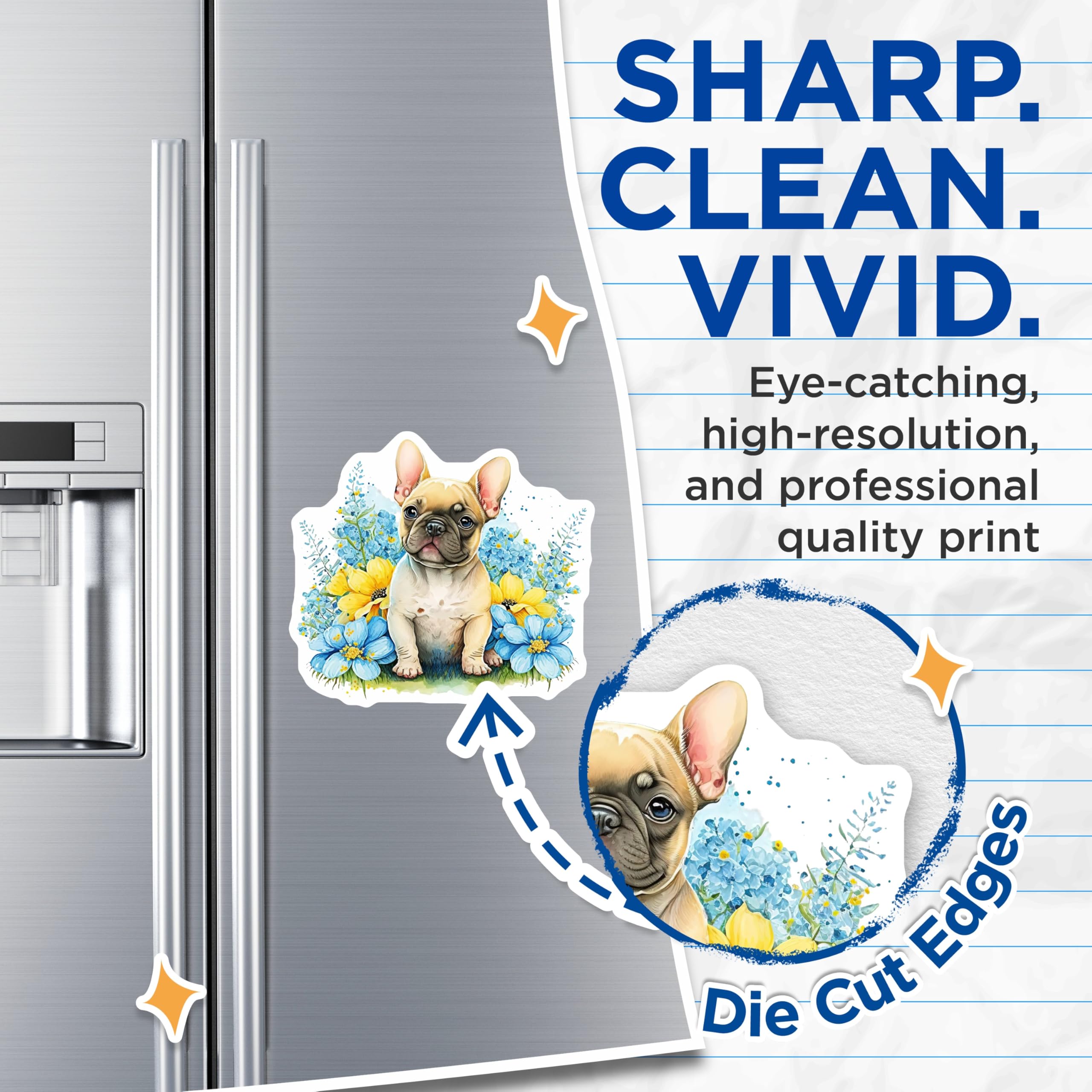 (2 Pack) French Bulldog Magnets - Puppy Dog Decor - Flower Accent Refrigerator Magnets - 5" On Longest Side - Premium Magnet - for Cars, Refrigerators, Toolboxes, Lockers - Made in USA - MAG16313