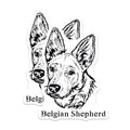 (2 Pack) Belgian Shepherd Stickers - Dog Breed Decals - Pet Lover Stickers - 5" On Longest Side - Sticks to Smooth Flat Surfaces - Made in USA - BMCS4018