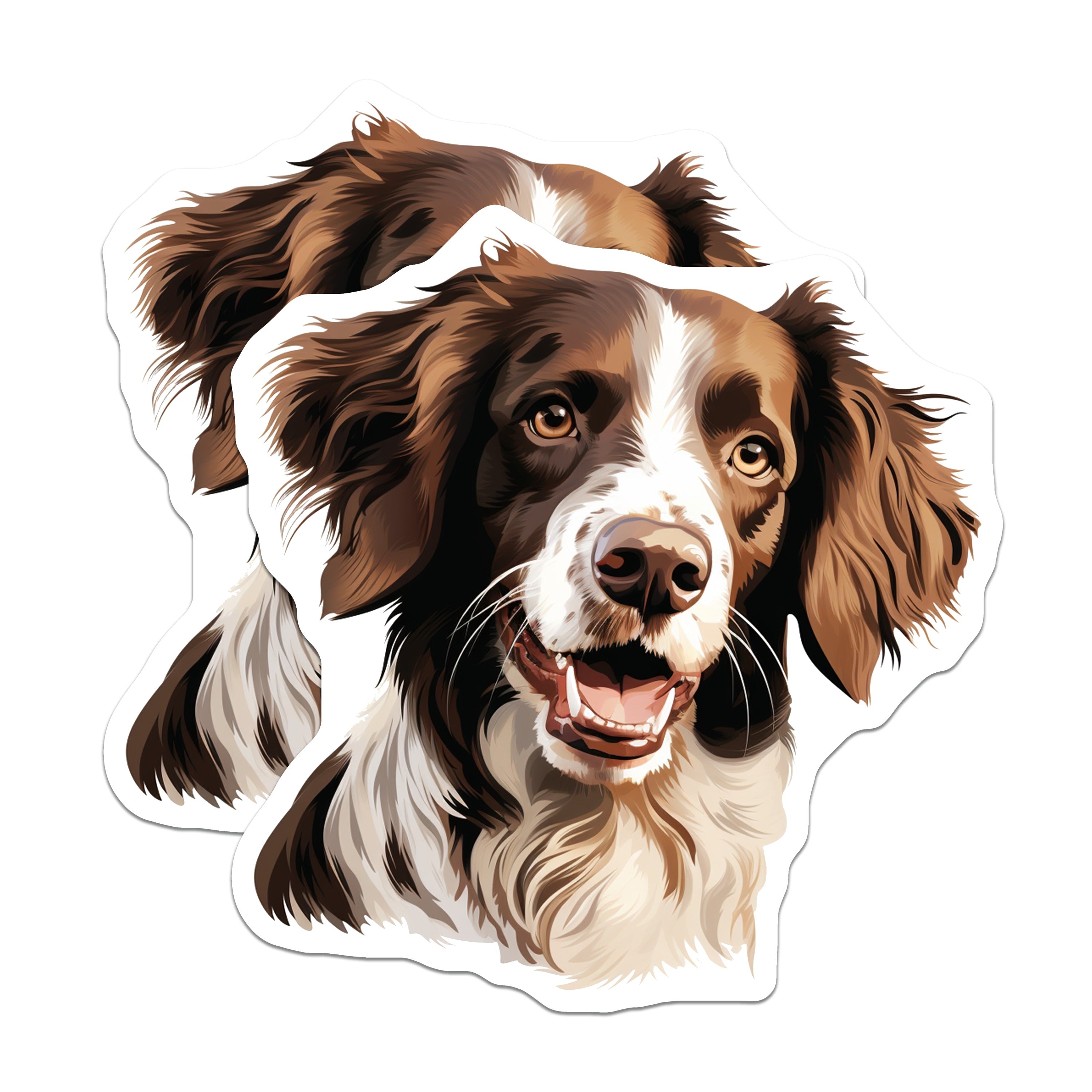 (2 Pack) Springer Spaniel Dog Magnets - Smiling Dog Head Art - Pet Owner Fridge Decor - Animal Lover Accessory - 5 Inches On Longest Side - Thick Durable Magnet - Made in USA - MAG37493