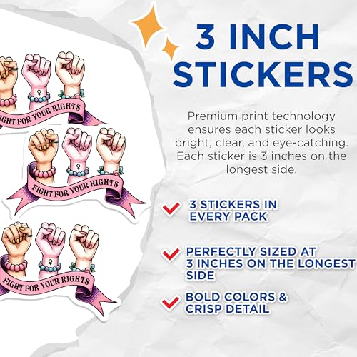 (3 Pack) Fight for Rights Decals - Feminist Art - Equality Decal - 3 Inches On Longest Side - Easy Peel & Apply - Made in USA - 3MCS7111