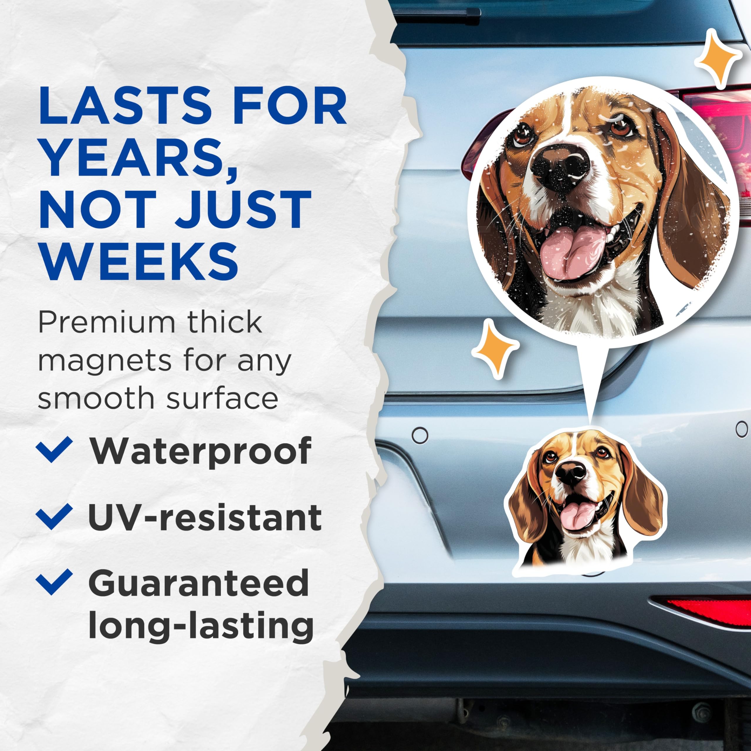 (2 Pack) Beagle Dog Magnets - Happy Puppy Fridge Decor - Animal Lover Kitchen Accent - Dog Breed Refrigerator Art - 5 Inches On Longest Side - Thick Durable Magnet - Made in USA - MAG30843