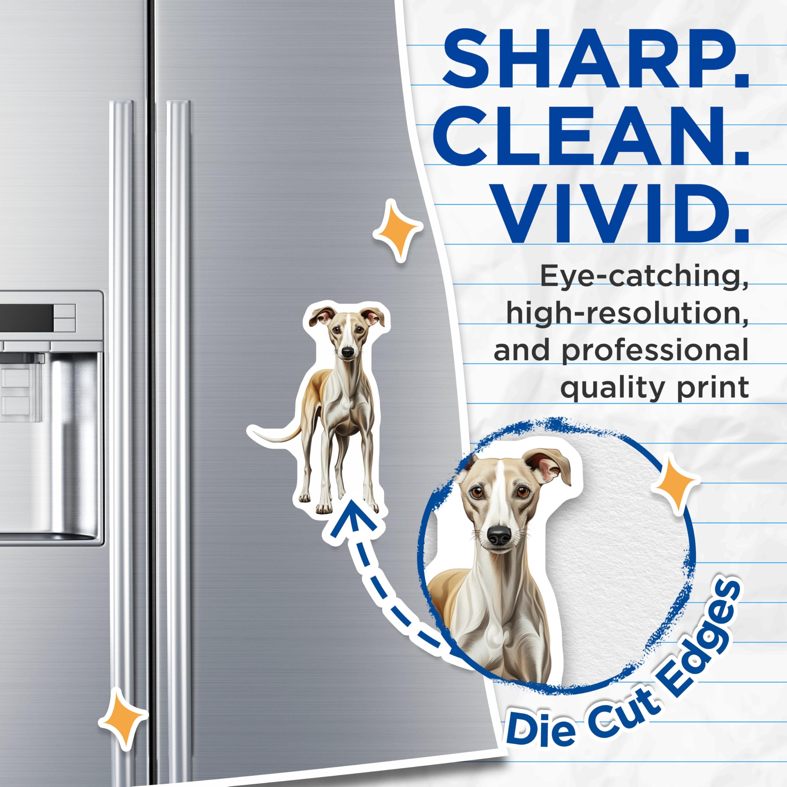 (2 Pack) Whippet Dog Magnets - Sighthound Breed Art - Fawn White Whippet Decor - Canine Lover Accents - 5 Inches On Longest Side - Thick Durable Magnet - Made in USA - MAG29381
