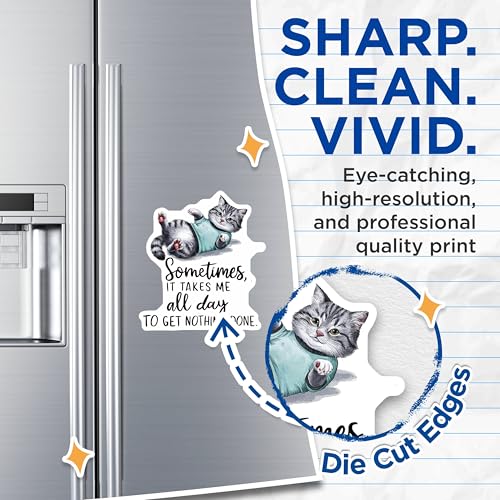 (2 Pack) Funny Cat Magnets - Comic Quote Magnets - Humorous Cat Decor Magnets - 5" On Longest Side - for Cars, Refrigerators, Toolboxes, Lockers - Made in USA BMCS3454