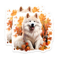 (2 Pack) Samoyed Dog Magnets - White Fluffy Dog Magnets - Autumn Fall Decor Magnets - 5 Inches On Longest Side - Thick Durable Magnet - Made in USA - MAG26082