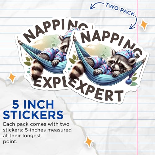 (2 Pack) Napping Expert Stickers - Cute Raccoon Stickers - Animal Hammock Stickers - 5" On Longest Side - Sticks to Smooth Flat Surfaces - Made in USA - BMCS4539