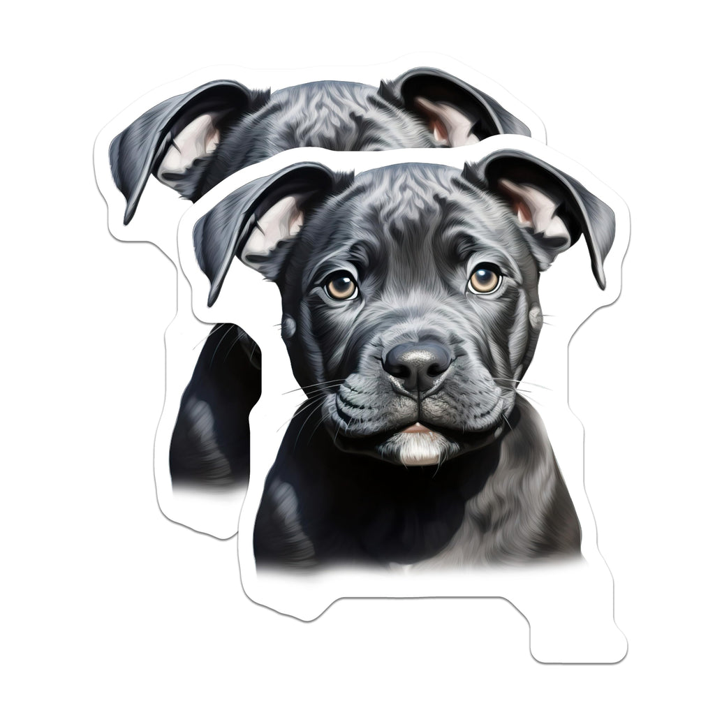 (2 Pack) Black Pitbull Puppy Magnets - Staffy Dog Lover Decor - Pet Owner Refrigerator Home Accent - 5 Inches On Longest Side - Thick Durable Magnet - Made in USA - MAG30574