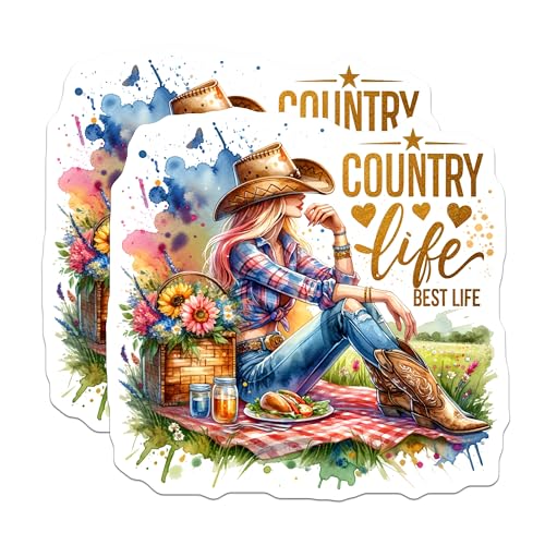 (2 Pack) Live Life with Love Stickers - Inspirational Quote - Motivational Message - 5" On Longest Side - Sticks to Smooth Flat Surfaces - Made in USA - BMCS6492