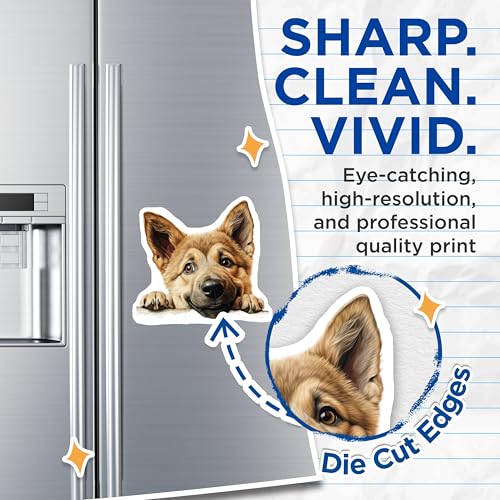 (2 Pack) Animal Lovers Magnet - Pet Decor - Home Decor - Kitchen Accessories - Dog Lovers - 5" On Longest Side - Sticks to Smooth Flat Surfaces - Made in USA - MAG9931