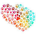 (3 Pack) Paw Print Heart Decals - Dog Cat Pet Lover - Colorful Watercolor Art - 3 Inches On Longest Side - Easy Peel & Apply - Made in USA - 3MCS2176