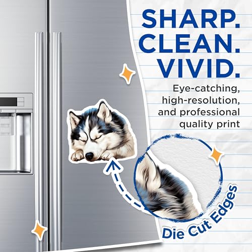 (2 Pack) Animal Lover Decor Magnet - 5" On Longest Side - Sticks to Smooth Flat Surfaces - Made in USA - MAG10280