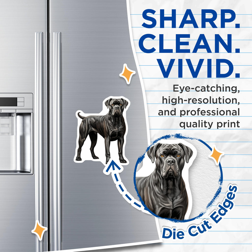 (2 Pack) Cane Corso Magnets - Powerful Dog Breed - Pet Lover Accessory - 5 Inches On Longest Side - Thick Durable Magnet - Made in USA - MAG27885