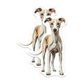 (2 Pack) Whippet Dog Magnets - Sighthound Breed Art - Fawn White Whippet Decor - Canine Lover Accents - 5 Inches On Longest Side - Thick Durable Magnet - Made in USA - MAG29381