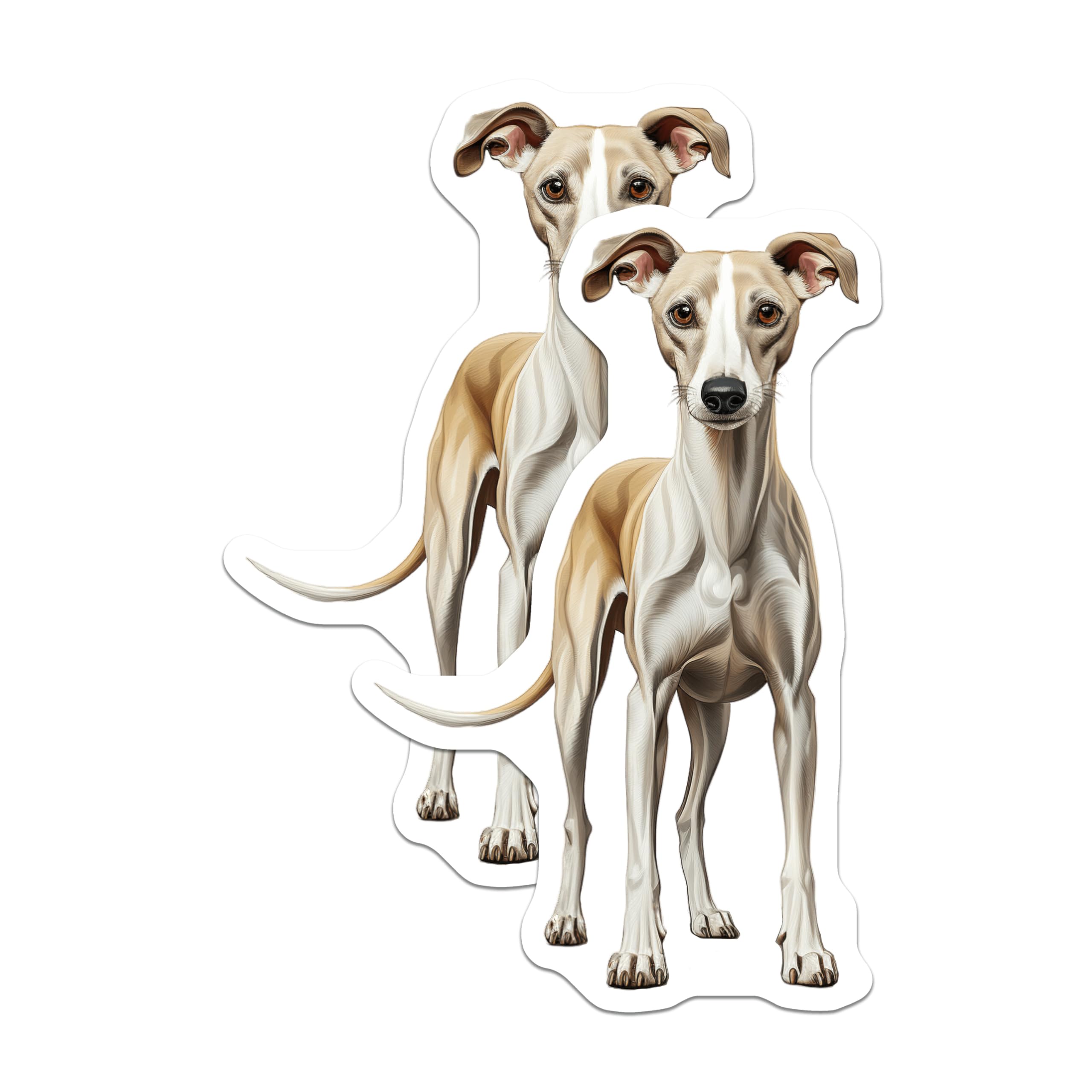 (2 Pack) Whippet Dog Magnets - Sighthound Breed Art - Fawn White Whippet Decor - Canine Lover Accents - 5 Inches On Longest Side - Thick Durable Magnet - Made in USA - MAG29381