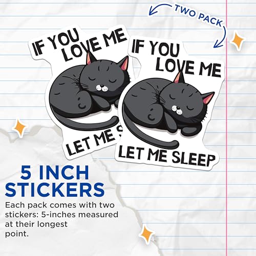 (2 Pack) Cat Lover Stickers - Cute Black Cat - Funny Animal Stickers - 5" On Longest Side - Sticks to Smooth Flat Surfaces - Made in USA - BMCS6001