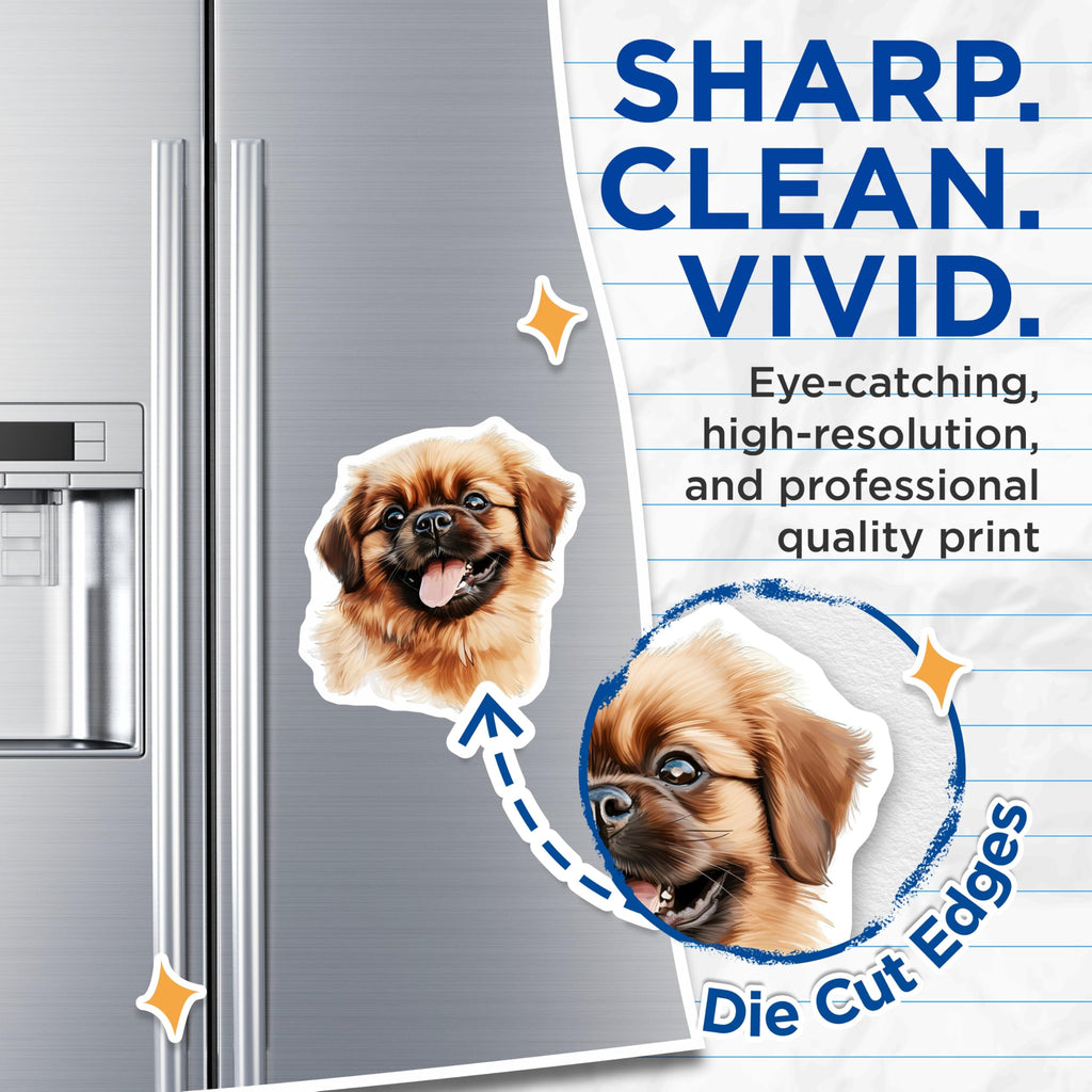 (2 Pack) Pekingese Dog Magnets - Adorable Fluffy Puppy - Animal Lover Refrigerator Decor - Dog Parent Appreciation - 5 Inches On Longest Side - Thick Durable Magnet - Made in USA - MAG27759