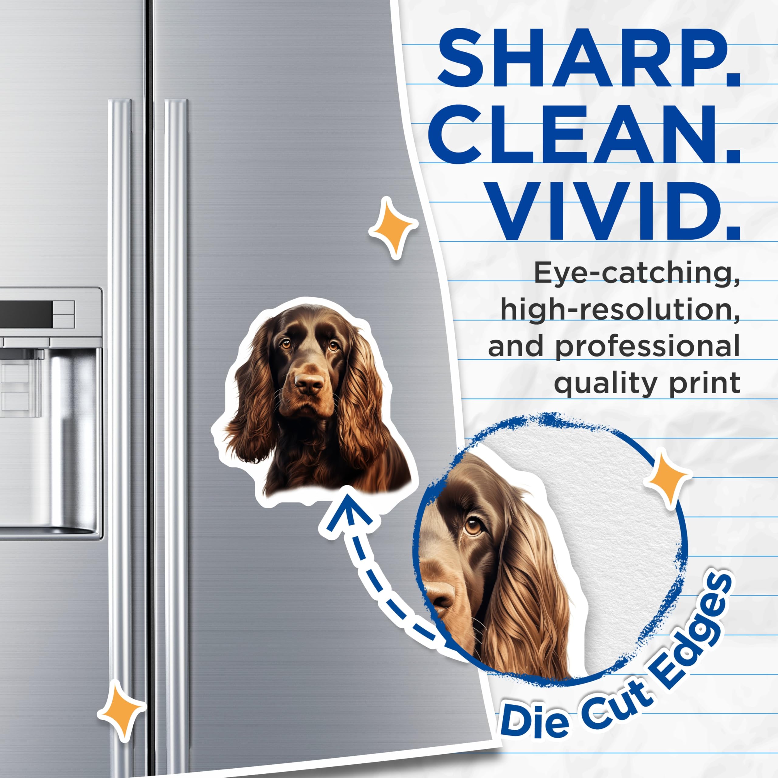(2 Pack) Cocker Spaniel Magnets - Brown Spaniel Dog Art Decor - Pet Lover Refrigerator Magnets - Dog Owner Accent - 5 Inches On Longest Side - Thick Durable Magnet - Made in USA - MAG25451