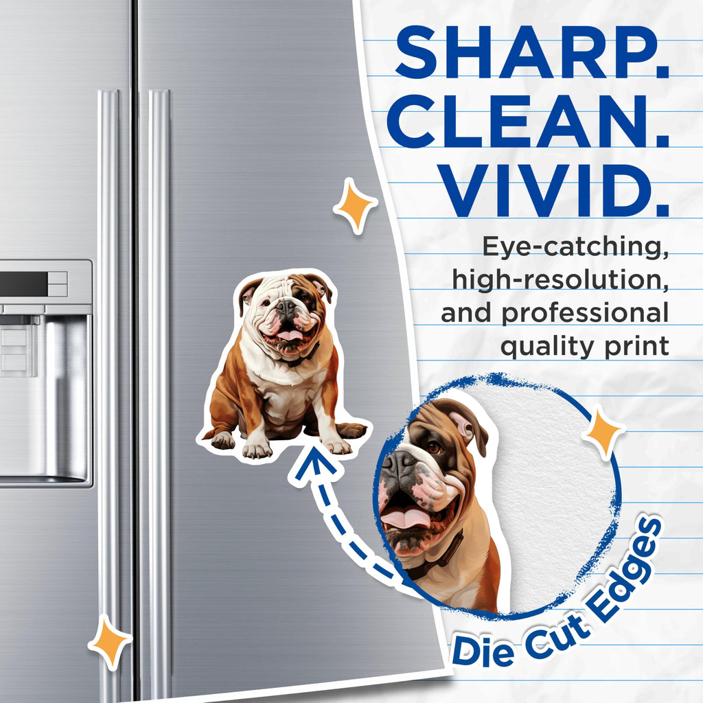 (2 Pack) Bulldog Magnets - Happy English Bulldog Art - Pet Dog Lover Home Fridge Locker Magnetic Decor Display - 5 Inches On Longest Side - Thick Durable Magnet - Made in USA - MAG24837