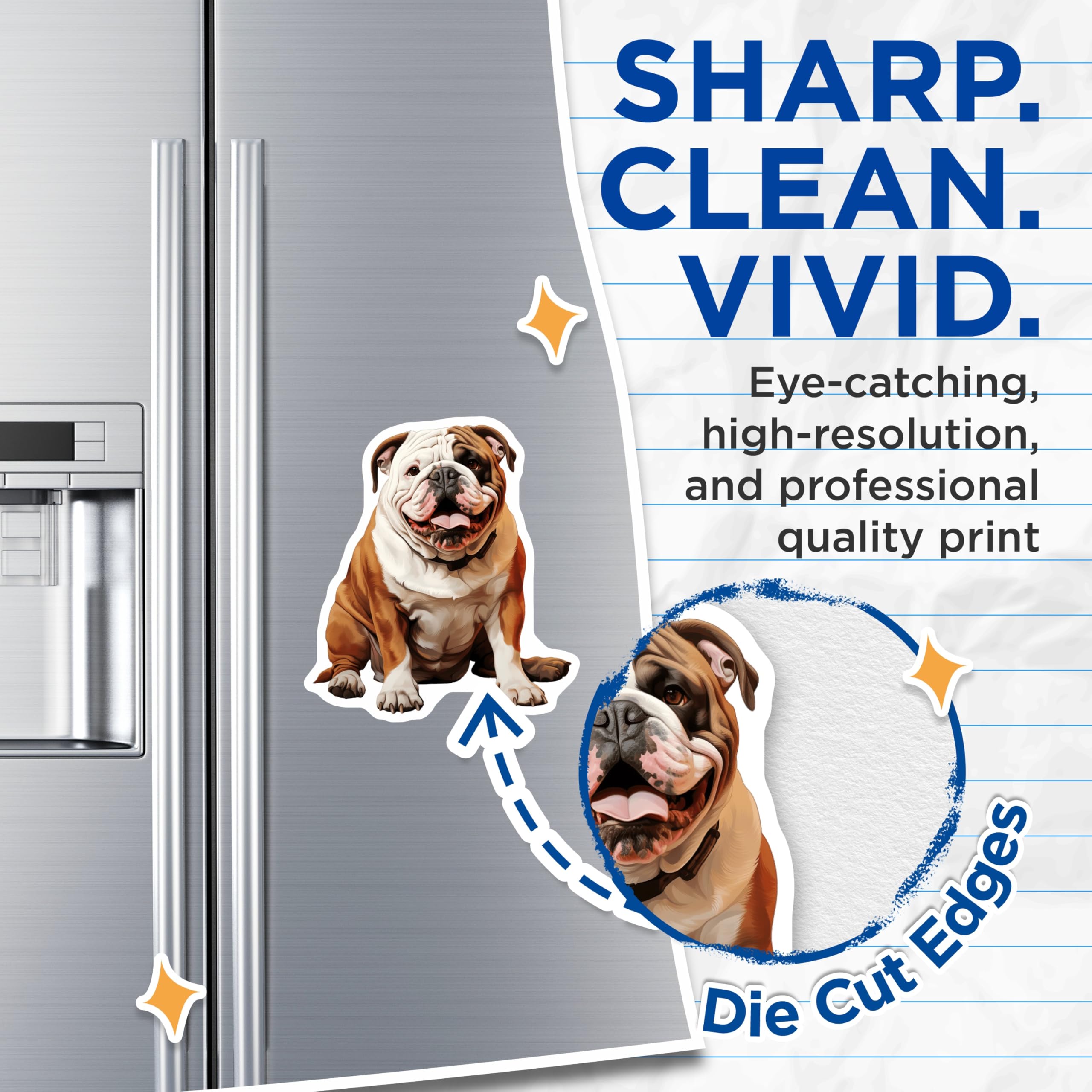 (2 Pack) Bulldog Magnets - Happy English Bulldog Art - Pet Dog Lover Home Fridge Locker Magnetic Decor Display - 5 Inches On Longest Side - Thick Durable Magnet - Made in USA - MAG24837