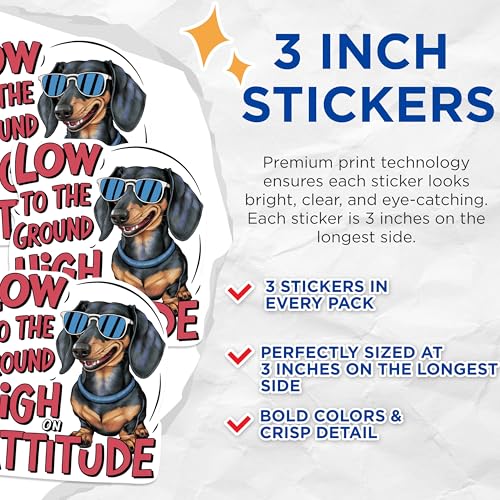 (3 Pack) Dachshund Decals - Low to The Ground - Attitude Stickers - Dog Decals - 3 Inches On Longest Side - Easy Peel & Apply - Made in USA - 3MCS1015