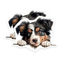 (2 Pack) Pet Lover Home Decor Magnet - 5" On Longest Side - Sticks to Smooth Flat Surfaces - Made in USA - MAG10226