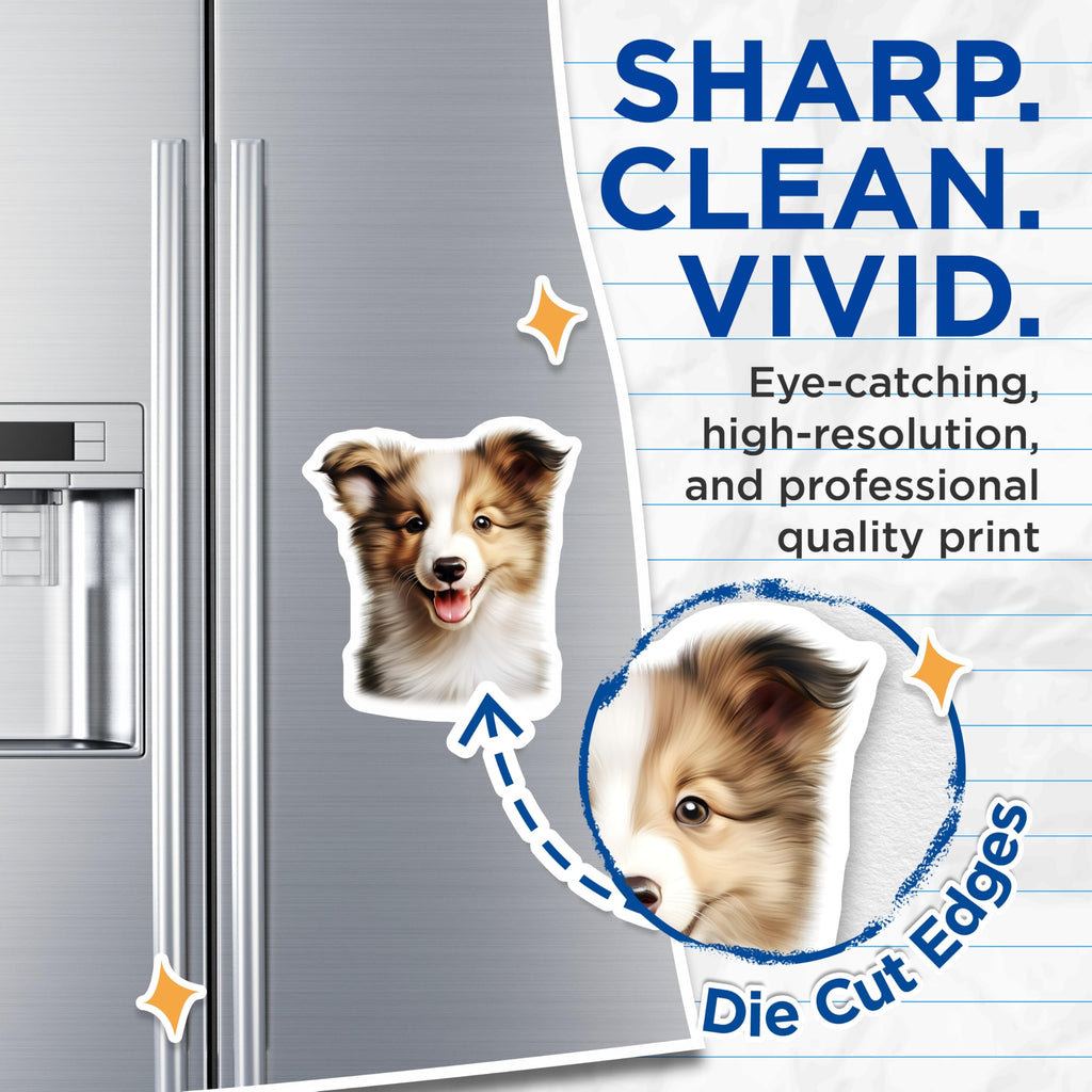 (2 Pack) Shetland Sheepdog Puppy Magnets - Adorable Dog Lover Art - Pet Mom Dad Refrigerator Decor - 5 Inches On Longest Side - Thick Durable Magnet - Made in USA - MAG28474