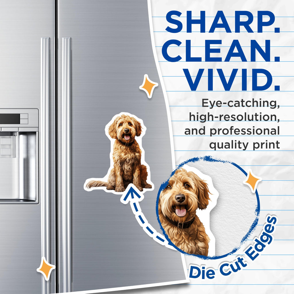 (2 Pack) Goldendoodle Dog Magnets - Pet Owner Refrigerator Decor - Animal Lover Collectible - 5 Inches On Longest Side - Thick Durable Magnet - Made in USA - MAG27527