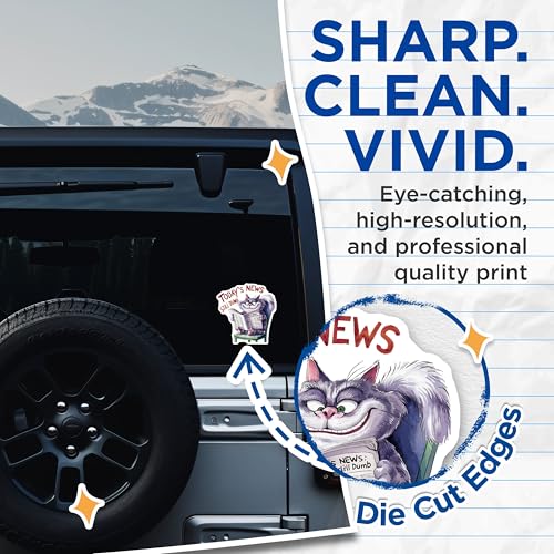 (2 Pack) Funny Cat News Stickers - Humorous Cat Art - Cute Animal Sticker - 5" On Longest Side - Sticks to Smooth Flat Surfaces - Made in USA - BMCS8552