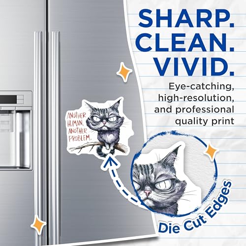 (2 Pack) Funny Cat Magnets Magnets - Snarky Cat Quotes - Pet Owner Decor - 5" On Longest Side - Made in USA - Sticks to Refrigerators & Metal Surfaces - MAG8564