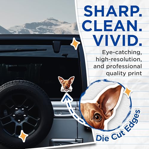 (2 Pack) Cute Dog Stickers - Puppy Face Decal - Funny Pet Sticker for Laptops - 5" On Longest Side - Sticks to Smooth Flat Surfaces - Made in USA - BMCS9935