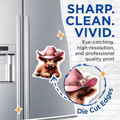(2 Pack) Cute Cow Magnets - Adorable Animal Magnets - Farm Animal Decor Magnets for Fridge - 5" On Longest Side - for Cars, Refrigerators, Toolboxes, Lockers - Made in USA MAG3611