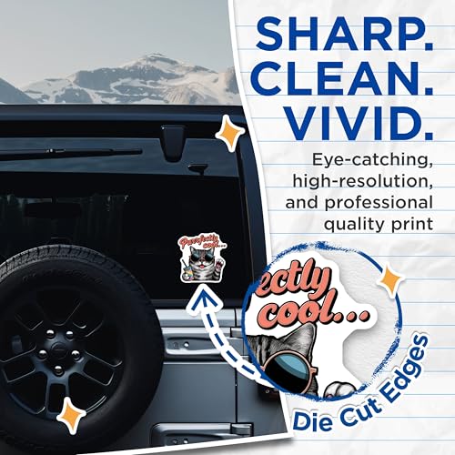 (2 Pack) Purrfectly Cool Cat Stickers - Cool Cat Art - 5" On Longest Side - Sticks to Smooth Flat Surfaces - Made in USA - BMCS9162 - BMCS9162