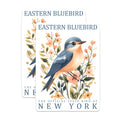 (2 Pack) Eastern Bluebird Magnets - New York State Bird Decor - Floral Birding Magnets - 5" On Longest Side - Premium Magnet - for Cars, Refrigerators, Toolboxes, Lockers - Made in USA - MAG17385