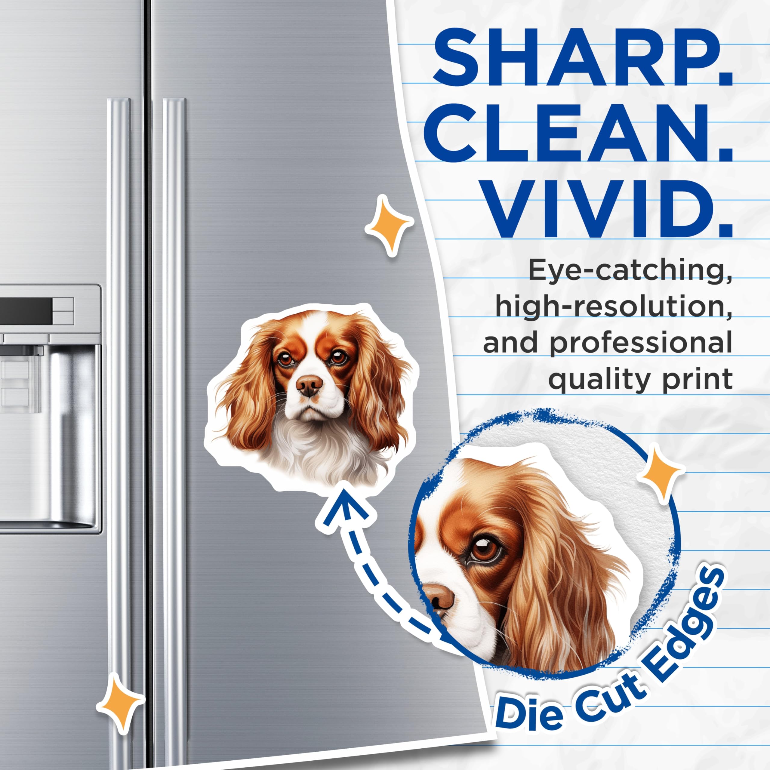 (2 Pack) Cavalier King Charles Spaniel Magnets - Dog Lover Decor - Pet Parent Refrigerator Art - 5 Inches On Longest Side - Thick Durable Magnet - Made in USA - MAG26740