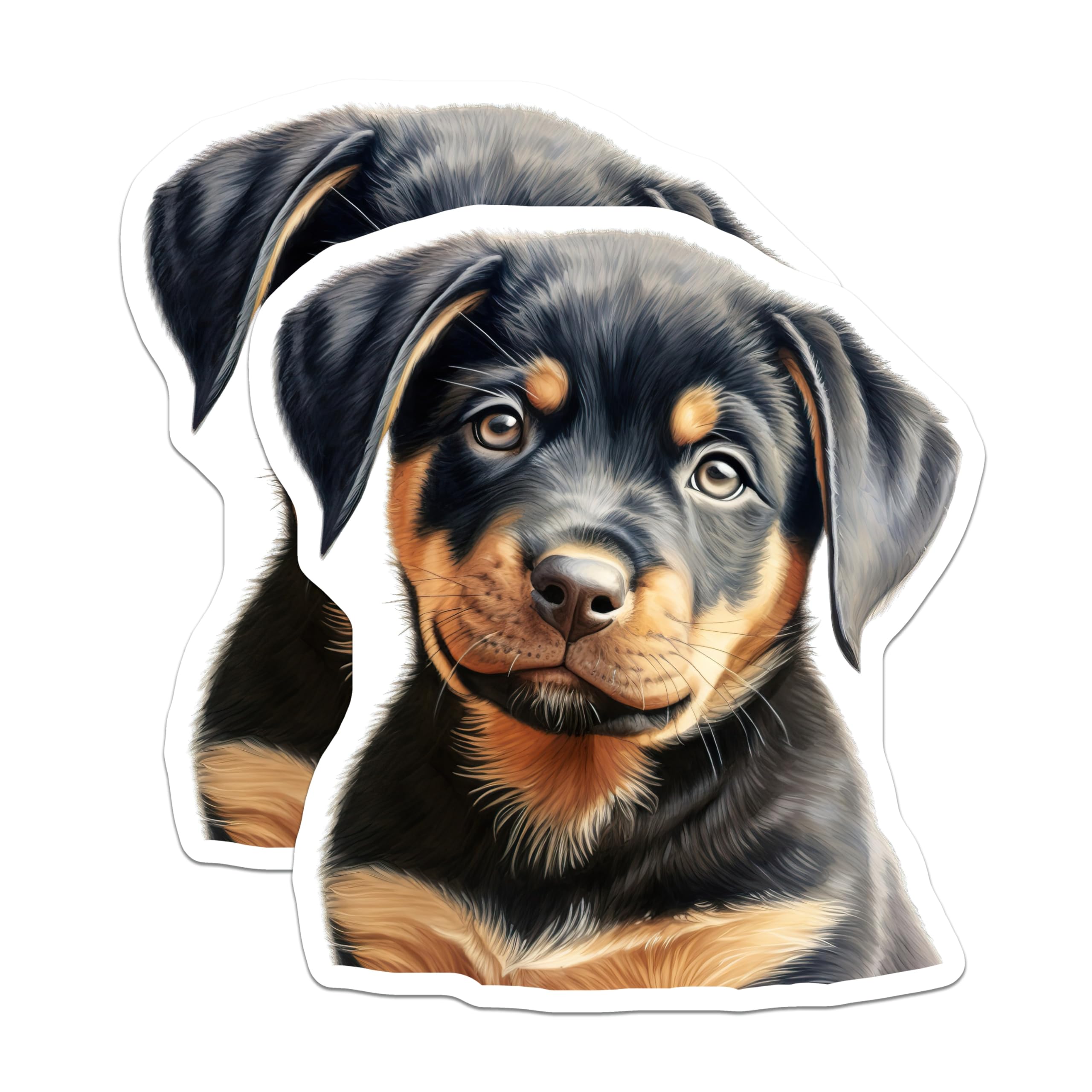(2 Pack) Rottweiler Puppy Magnets - Cute Dog Art Refrigerator - Animal Lover Kitchen Accent - 5 Inches On Longest Side - Thick Durable Magnet - Made in USA - MAG29393