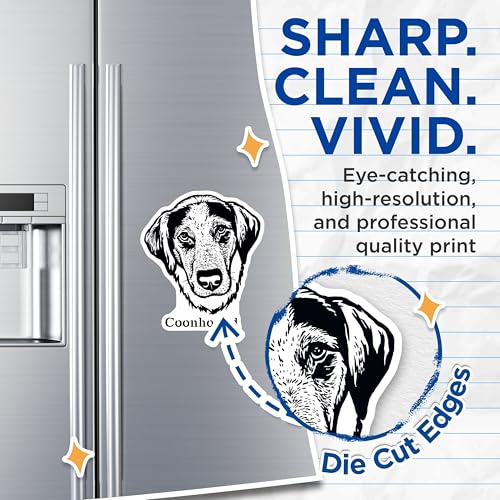 (2 Pack) Coonhound Dog Magnets - Pet Lover Fridge Magnets - Animal Themed Kitchen Magnets - 5" On Longest Side - for Cars, Fridges, Toolboxes - Made in USA - MAG4017