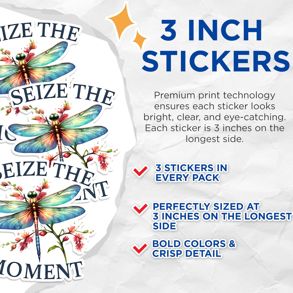 (3 Pack) Dragonfly Decals - Seize The Moment - Laptop Decal - 3 Inches On Longest Side - Easy Peel & Apply - Made in USA - 3MCS1509