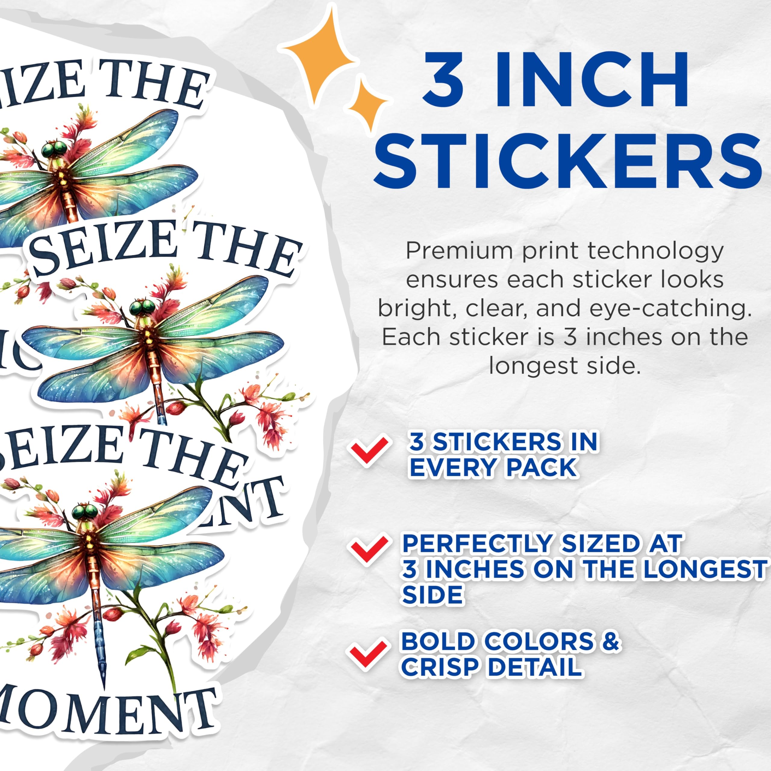 (3 Pack) Dragonfly Decals - Seize The Moment - Laptop Decal - 3 Inches On Longest Side - Easy Peel & Apply - Made in USA - 3MCS1509