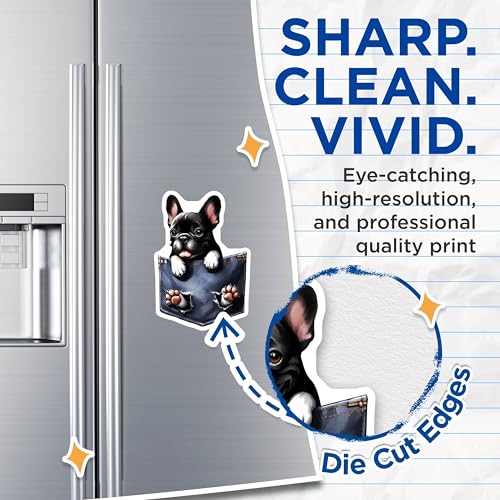 (2 Pack) French Bulldog Magnets - Cute Dog Magnets - Pocket Pet - Animal Lover Home - Dog Lover Magnets - 5" On Longest Side - for Cars, Fridges, Toolboxes - Made in USA - MAG4001