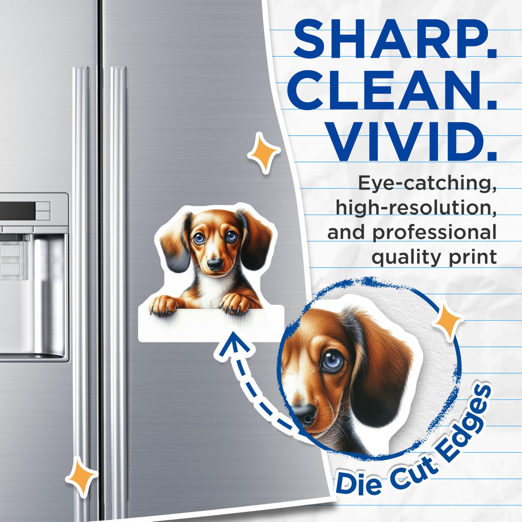(2 Pack) Dachshund Dog Magnets - Wiener Dog - Sausage Dog Refrigerator Decor - 5" On Longest Side - Premium Magnet - for Cars, Refrigerators, Toolboxes, Lockers - Made in USA - MAG14580