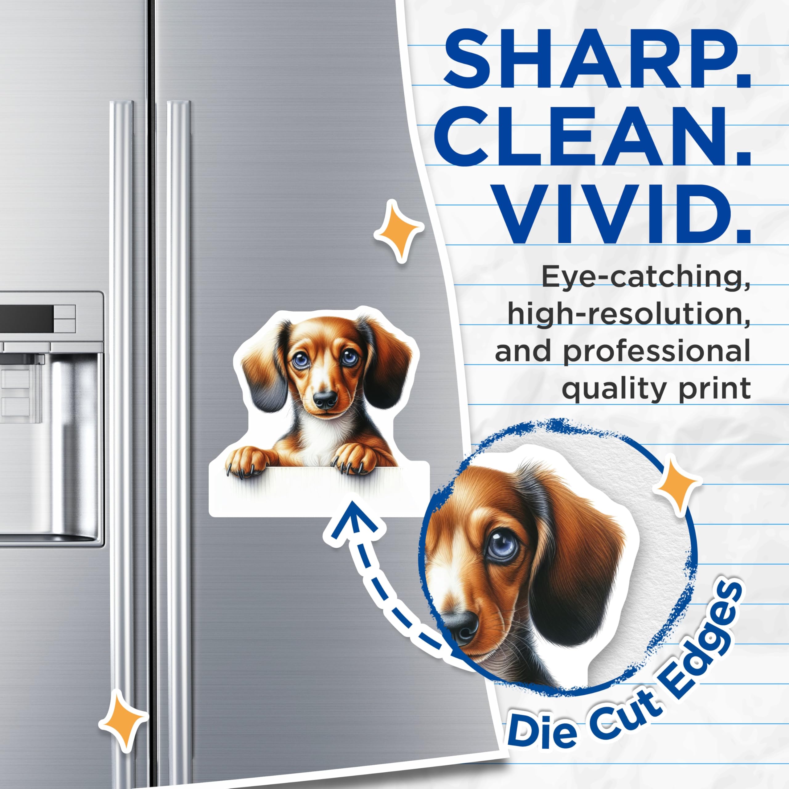 (2 Pack) Dachshund Dog Magnets - Wiener Dog - Sausage Dog Refrigerator Decor - 5" On Longest Side - Premium Magnet - for Cars, Refrigerators, Toolboxes, Lockers - Made in USA - MAG14580