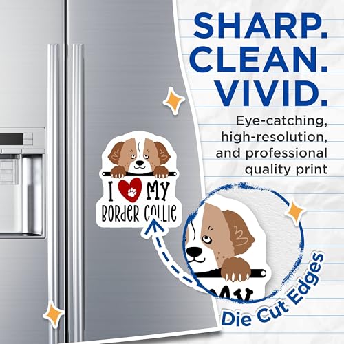 (2 Pack) I Love My Border Collie Magnets - Dog Lover Accessories - Pet Owner Fridge Magnets - 5" On Longest Side - for Cars, Fridges, Toolboxes - Made in USA - MAG4301