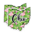 (2 Pack) Ohio Flamingo Magnets - State Pride - Tropical Decor Souvenir - 5" On Longest Side - Premium Magnet - for Cars, Refrigerators, Toolboxes, Lockers - Made in USA - MAG17696