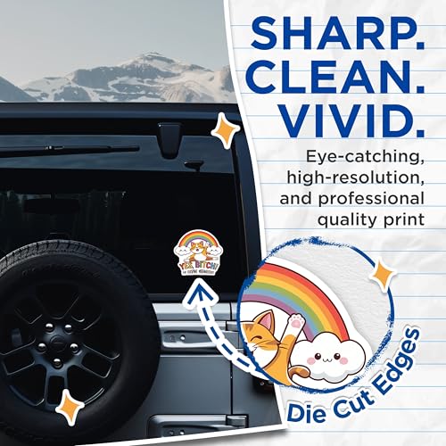 (2 Pack) Funny Cat Quote Stickers - Cute Rainbow Stickers - Magnificent Expression Stickers - 5" On Longest Side - Sticks to Any Smooth Flat Surface - Made in USA - BMCS3307
