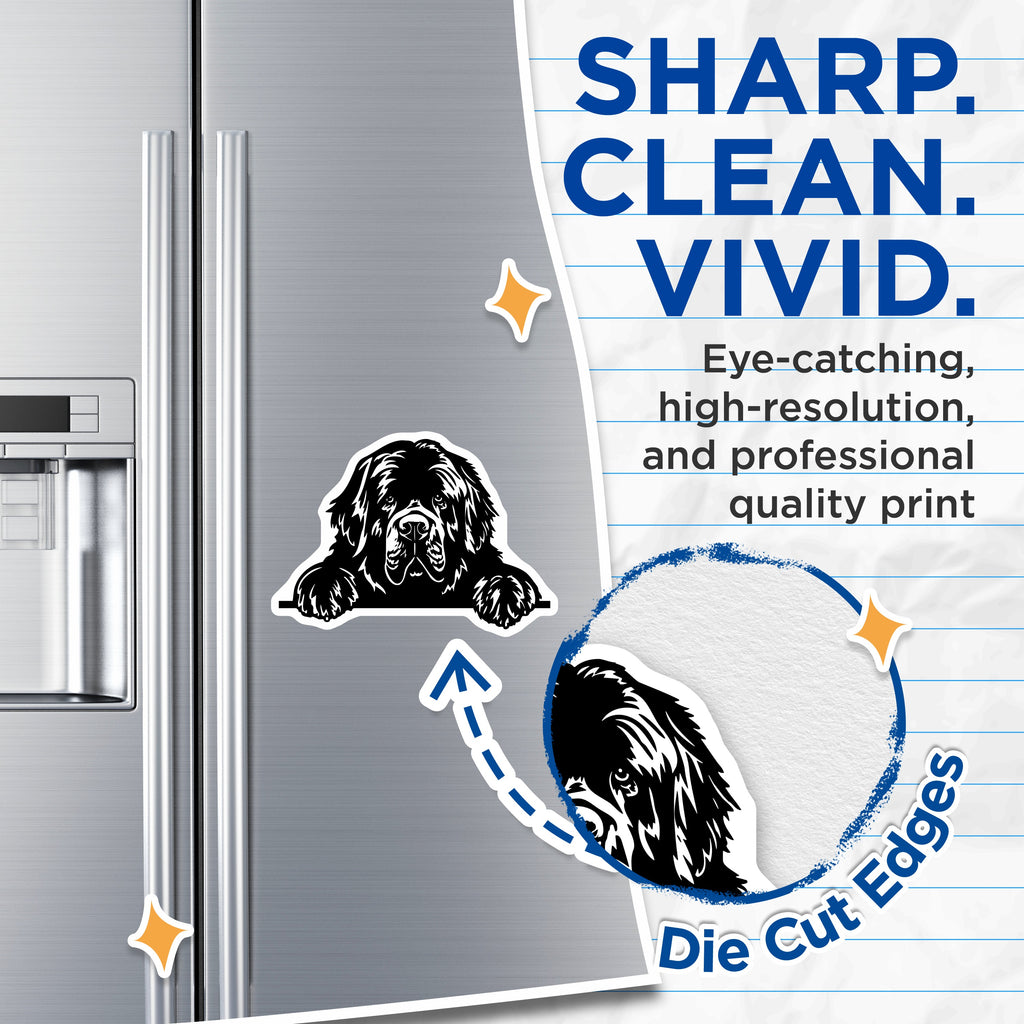 (2 Pack) Newfoundland Dog Magnets - Newfie Lover Pet Decor - Large Dog Breed Silhouette Art for Fridge - 5 Inches On Longest Side - Thick Durable Magnet - Made in USA - MAG39258