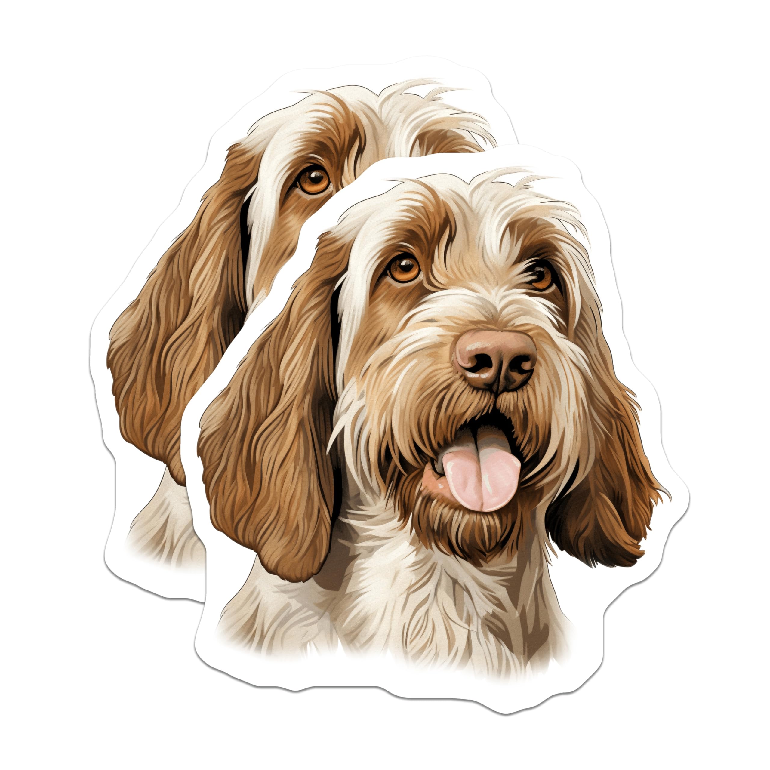 (2 Pack) Spinone Italiano Magnets - Beloved Dog Breed Art Decor - Pet Animal Fridge Magnet Set - Italian Dog Parent Accessory - 5 Inches On Longest Side - Thick Durable Magnet - Made in USA - MAG23767