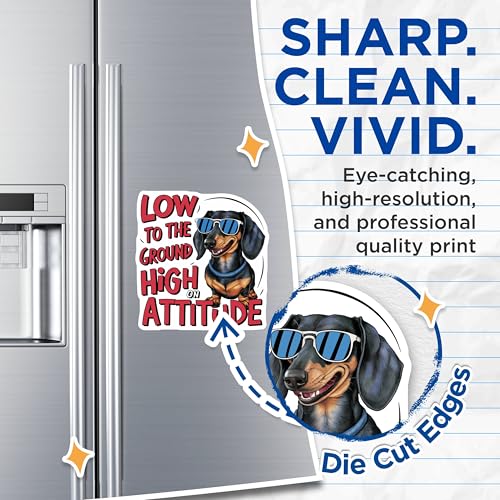 (2 Pack) Low to The Ground High On Attitude Magnets Magnets - Dachshund Magnet - Funny Dog Quote Magnet - 5" On Longest Side - Made in USA - Sticks to Refrigerators & Metal Surfaces - MAG8492