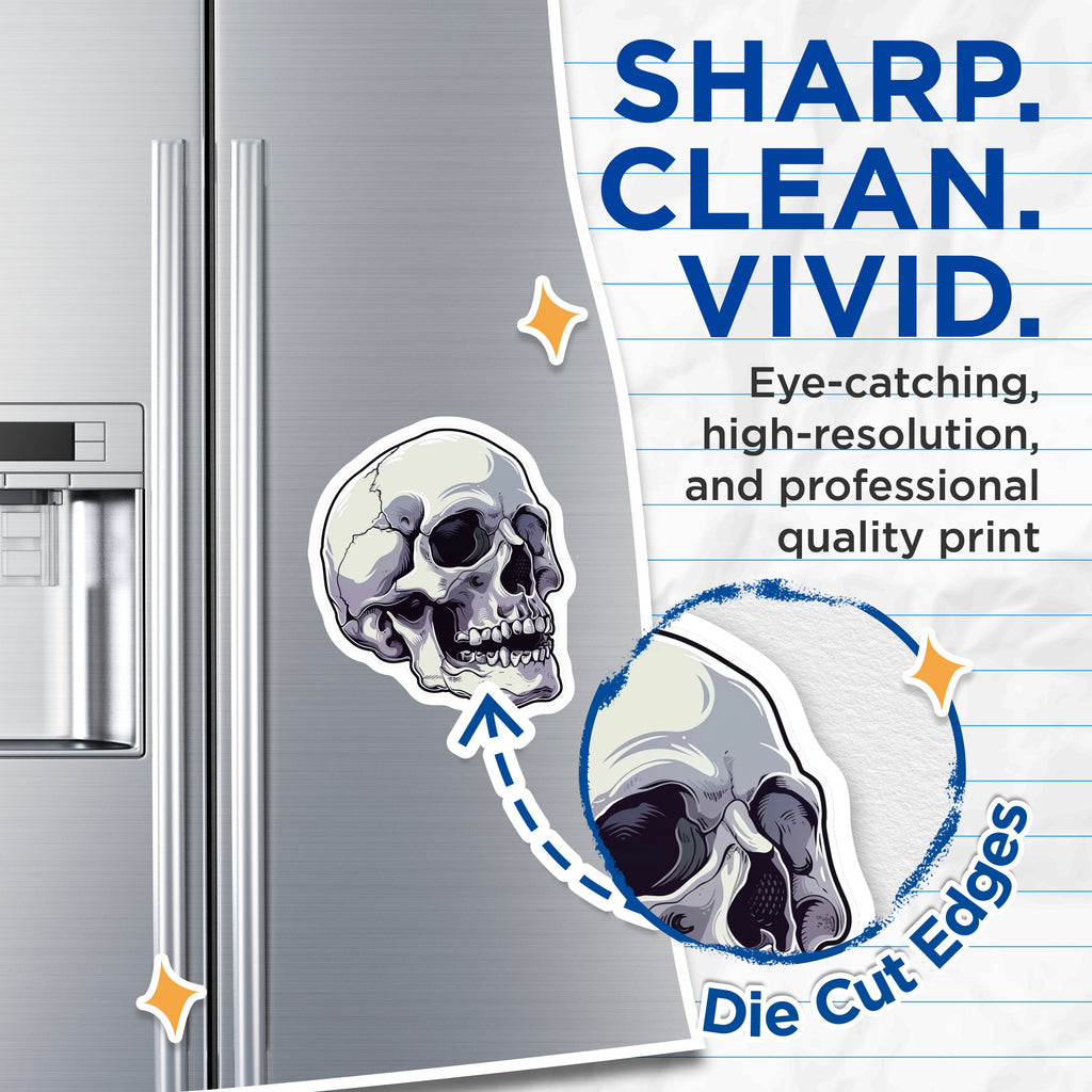(2 Pack) Gothic Skull Magnets - Human Skeleton Decor - Dark Academia Spooky Anatomy Art - 5 Inches On Longest Side - Thick Durable Magnet - Made in USA - MAG39785