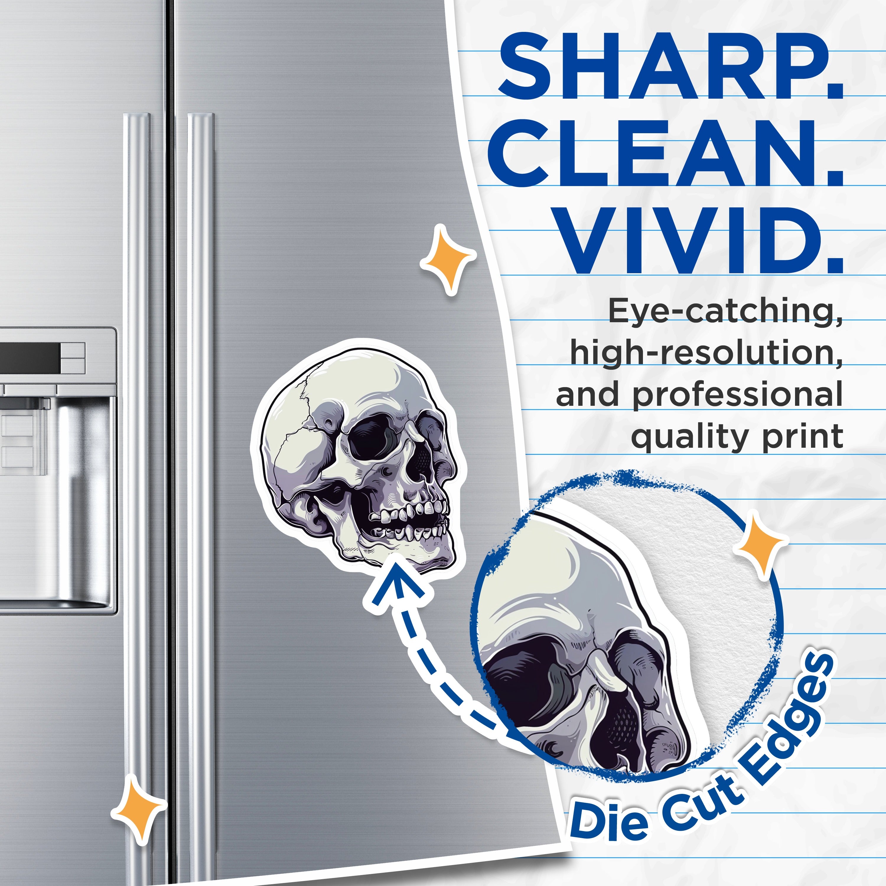 (2 Pack) Gothic Skull Magnets - Human Skeleton Decor - Dark Academia Spooky Anatomy Art - 5 Inches On Longest Side - Thick Durable Magnet - Made in USA - MAG39785