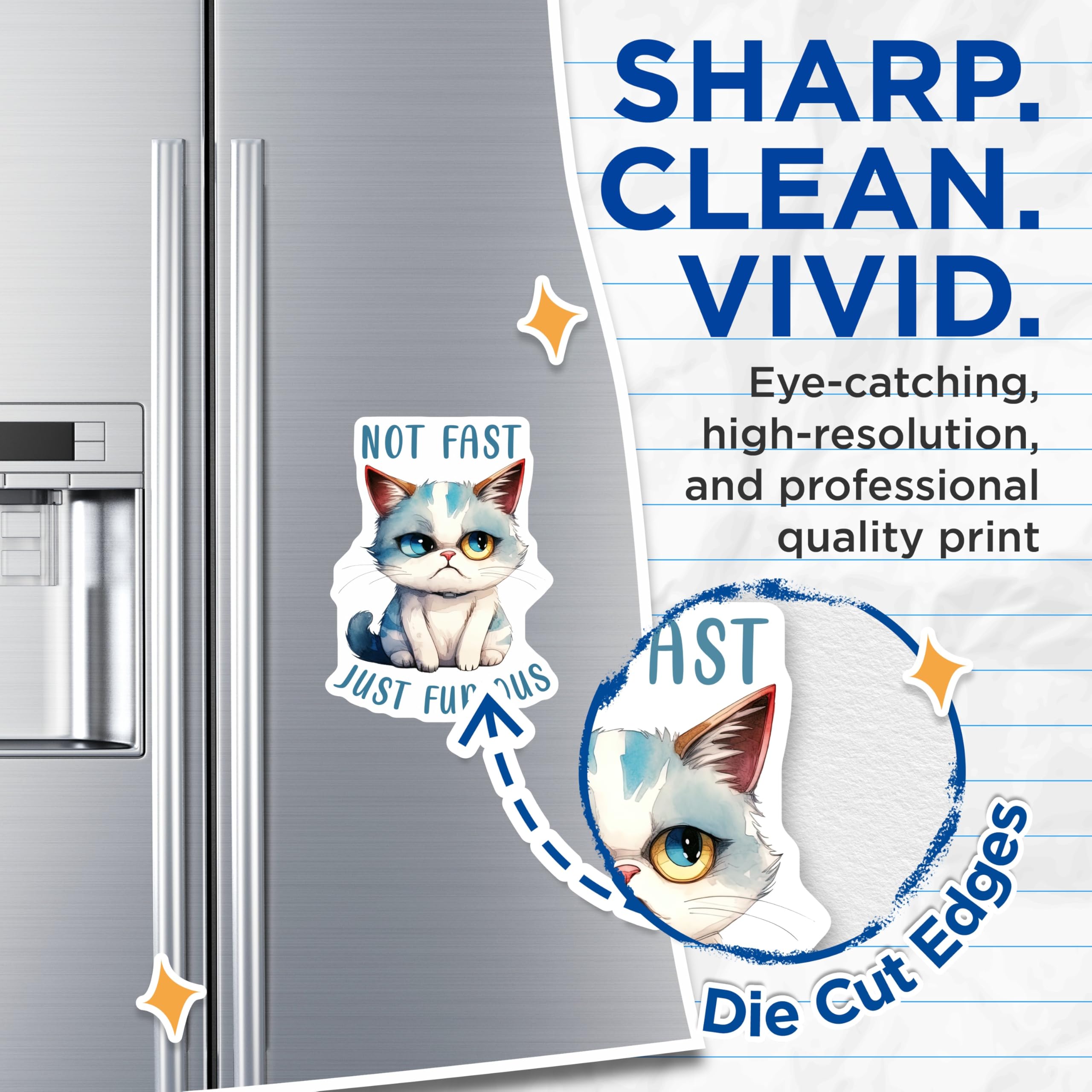 (2 Pack) Funny Cat Magnets - Not Fast Just Furious - Grumpy Kitten Refrigerator Magnets - 5" On Longest Side - Premium Magnet - for Cars, Refrigerators, Toolboxes, Lockers - Made in USA - MAG14377